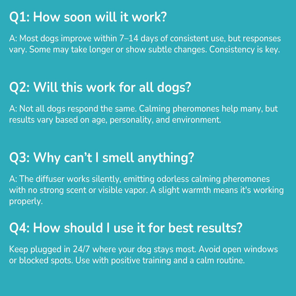 Woyamay dog anxiety relief diffuser usage in daily routine improves resilience.