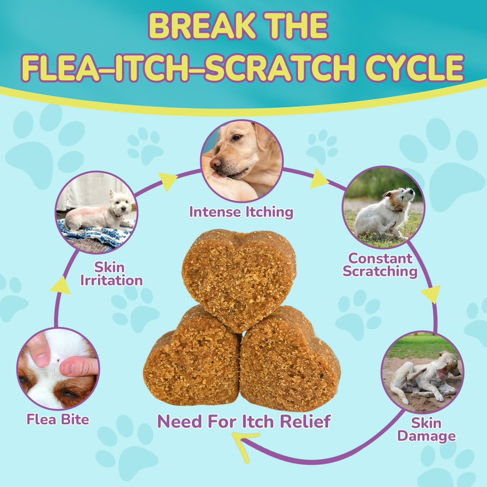 Dog chewing Woyamay chews, supporting healthy skin and coat.