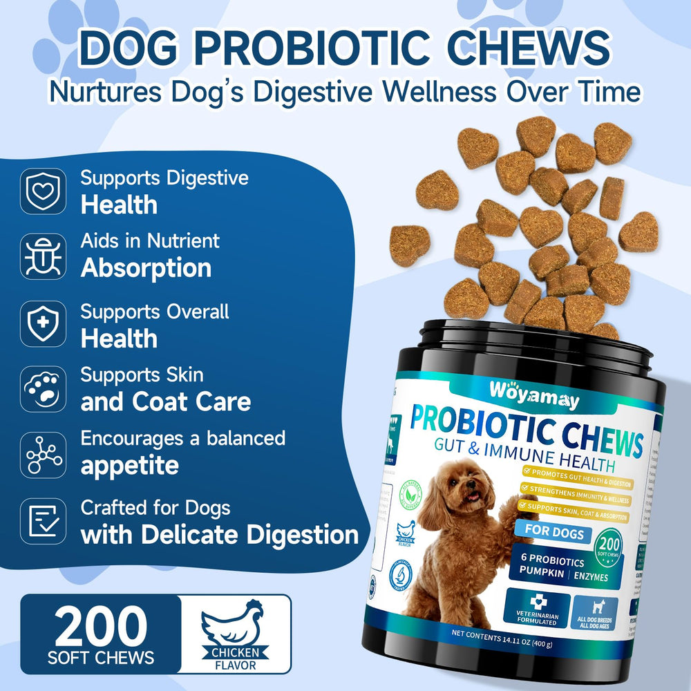 Woyamay Dog Probiotic chews in chicken flavor entice dogs and support daily gut care