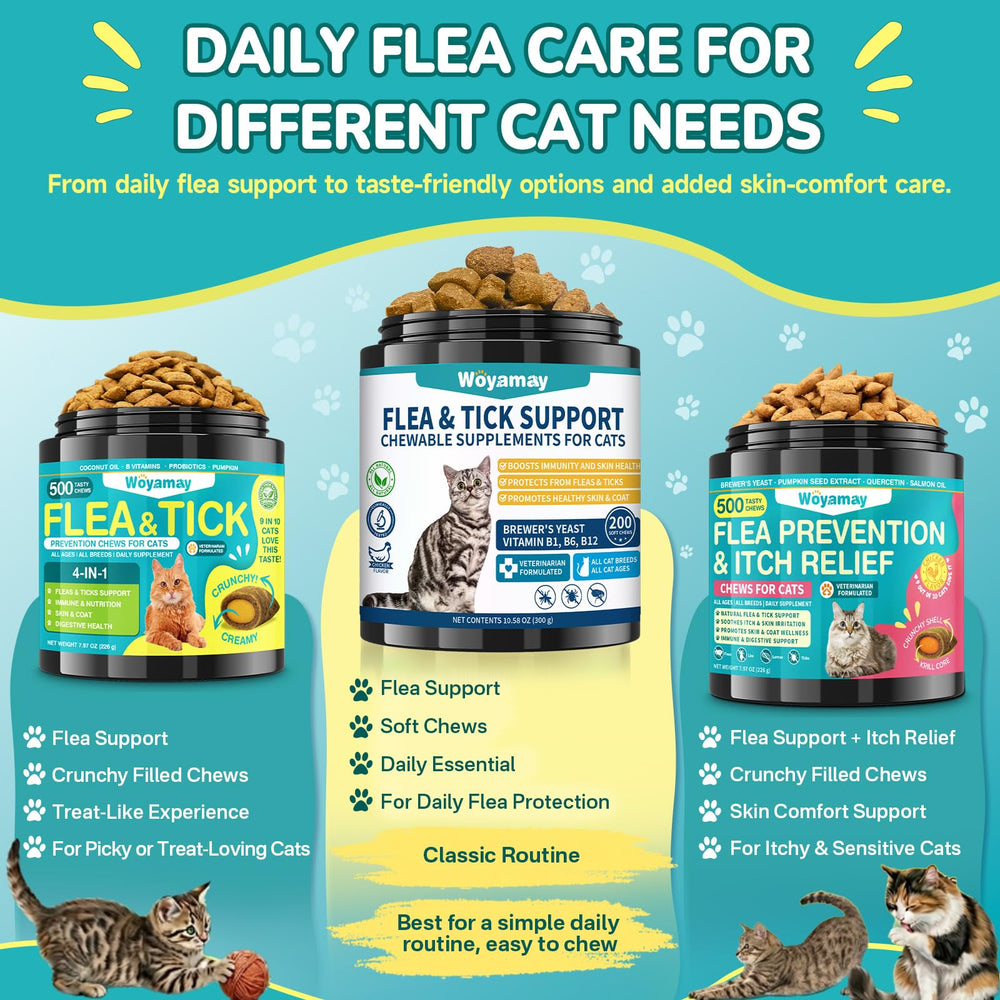 Woyamay-fed cat enjoying chicken-flavor chew: tasty routine that supports preventive care.