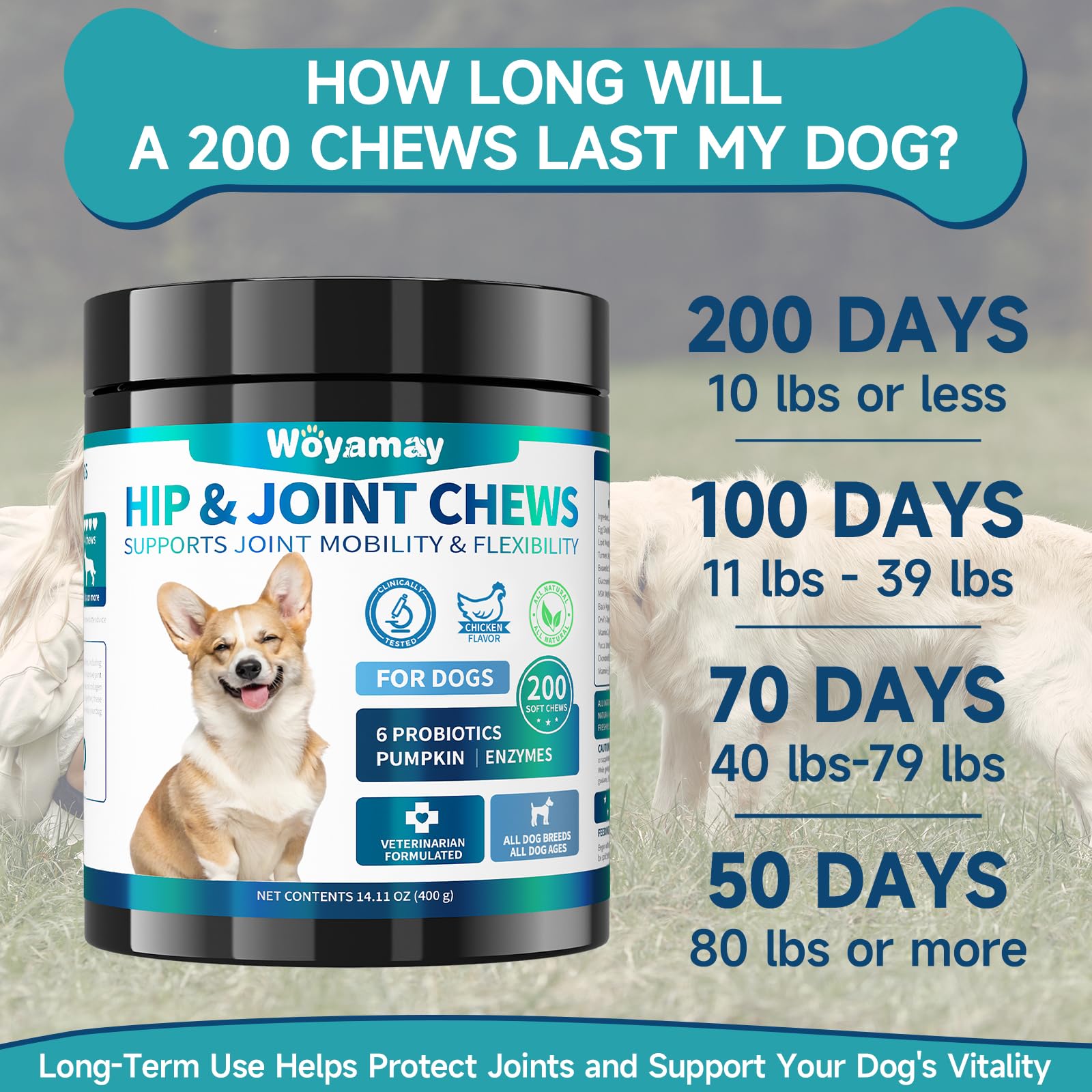 Woyamay glucosamine dog bottle with label detailing ingredients.