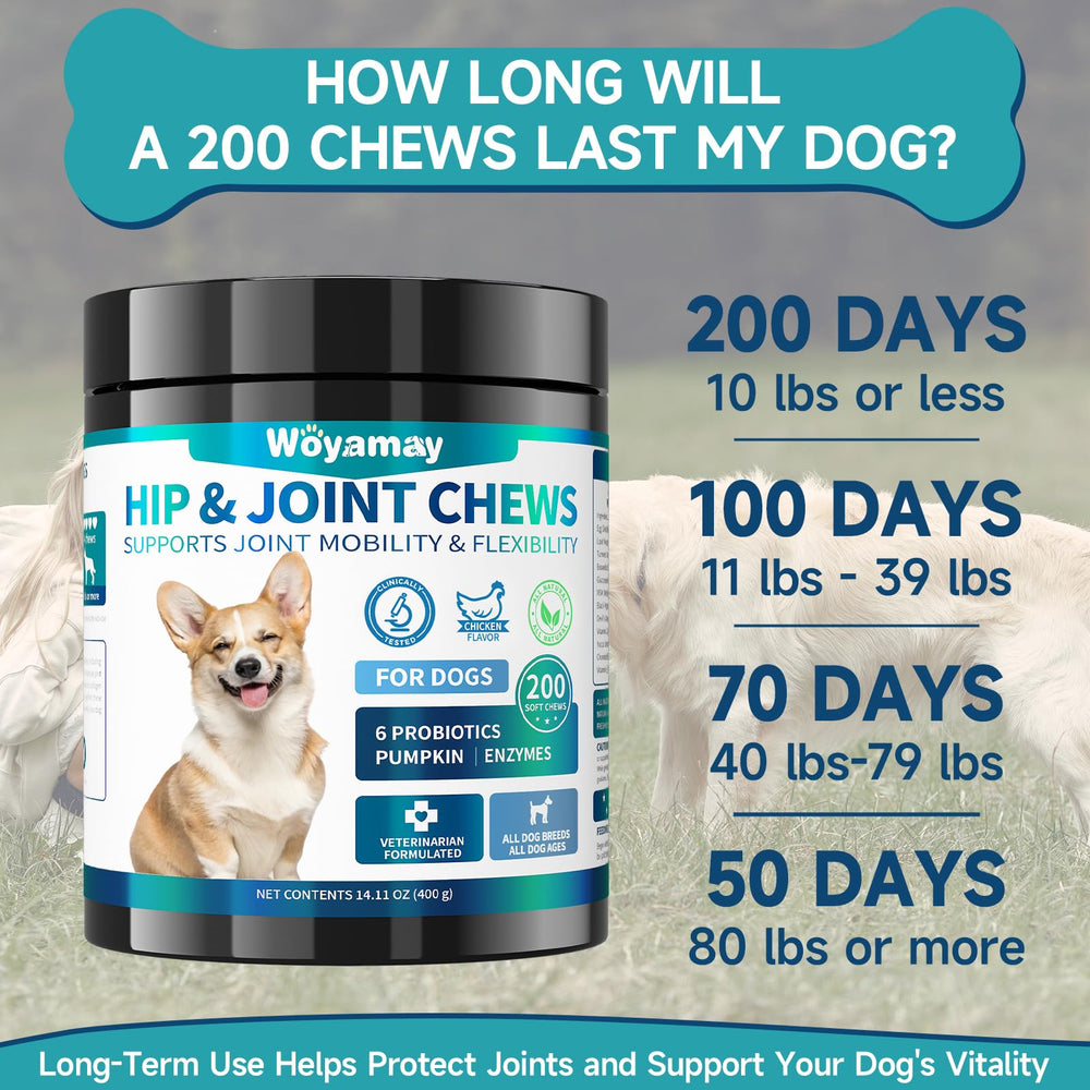Woyamay glucosamine dog bottle with label detailing ingredients.