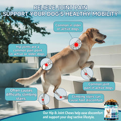 Woyamay glucosamine dog chews chicken flavor appealing to active large dogs.
