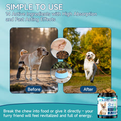 Woyamay glucosamine dog joint support for large breeds in action.