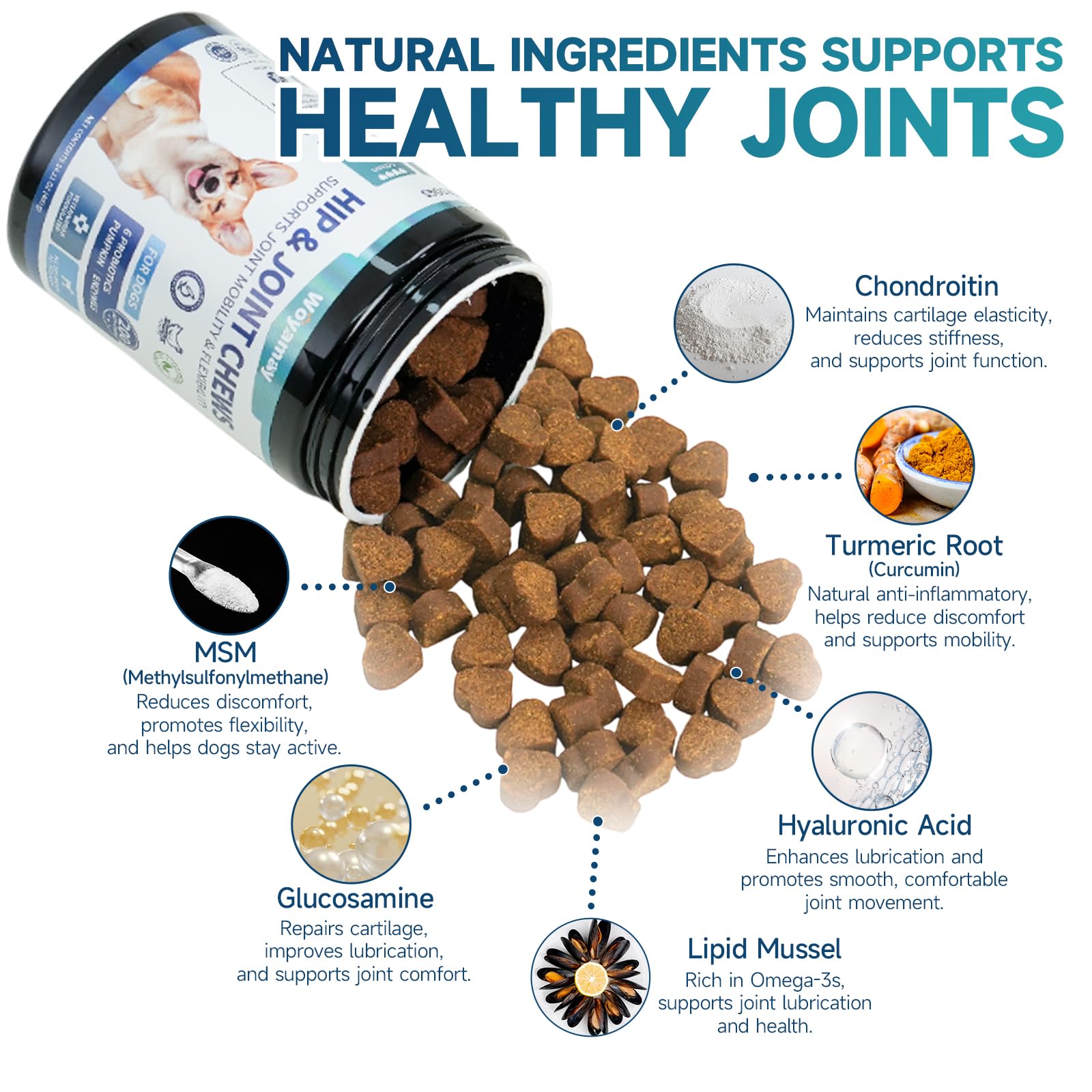 Woyamay glucosamine dog with probiotics and ingredients for digestion and joint care.