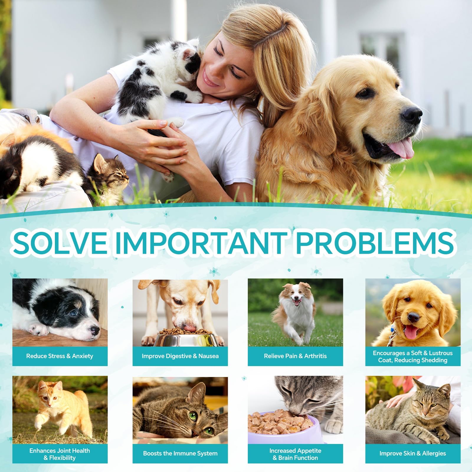 Woyamay hemp oil drops for dogs and cats support joint comfort.