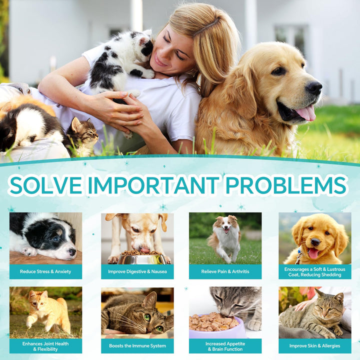 Woyamay hemp oil drops for dogs and cats support joint comfort.