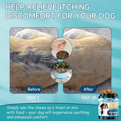 Woyamay omega-3 fish oil highlight for coat health.