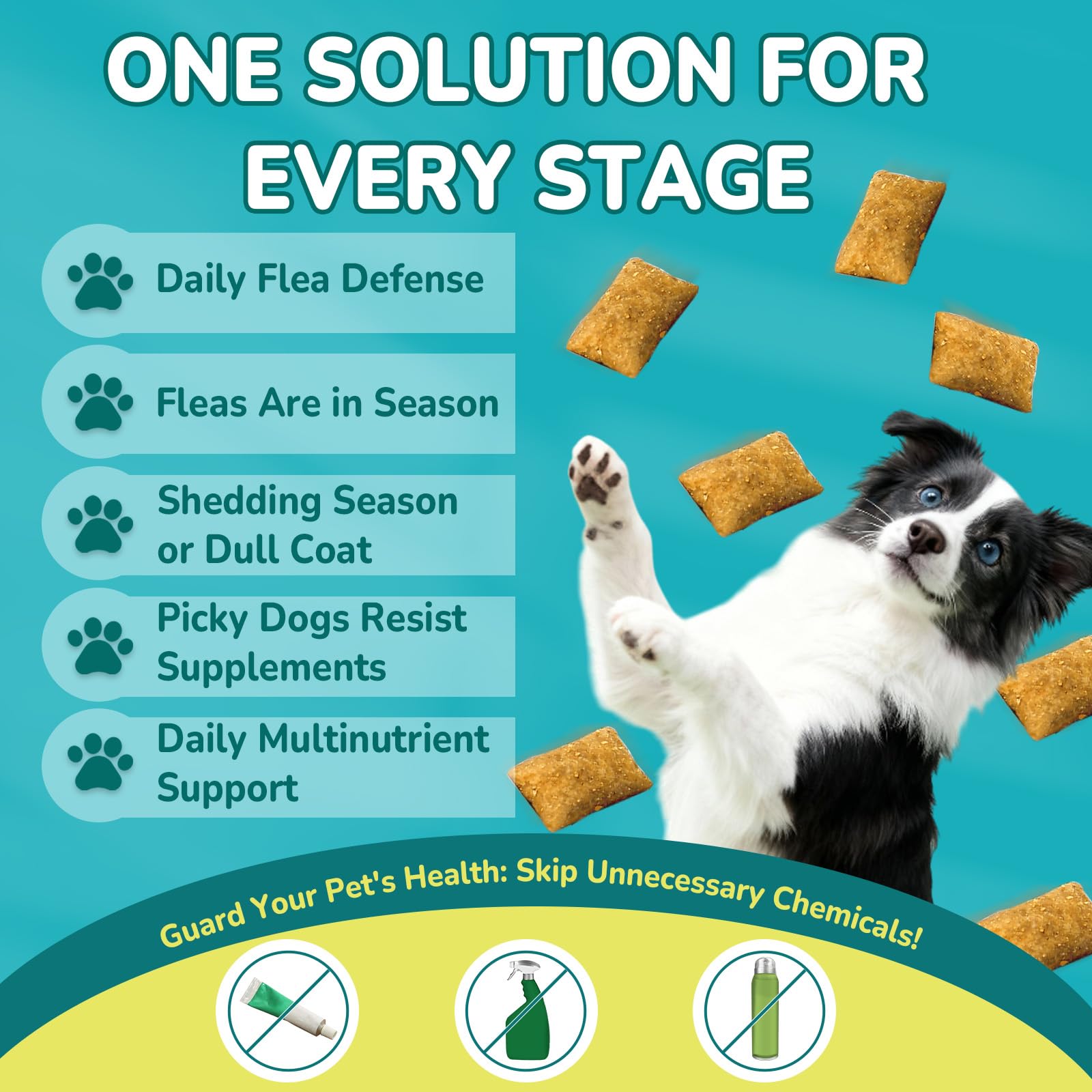 Woyamay daily chew suitable for puppies to seniors