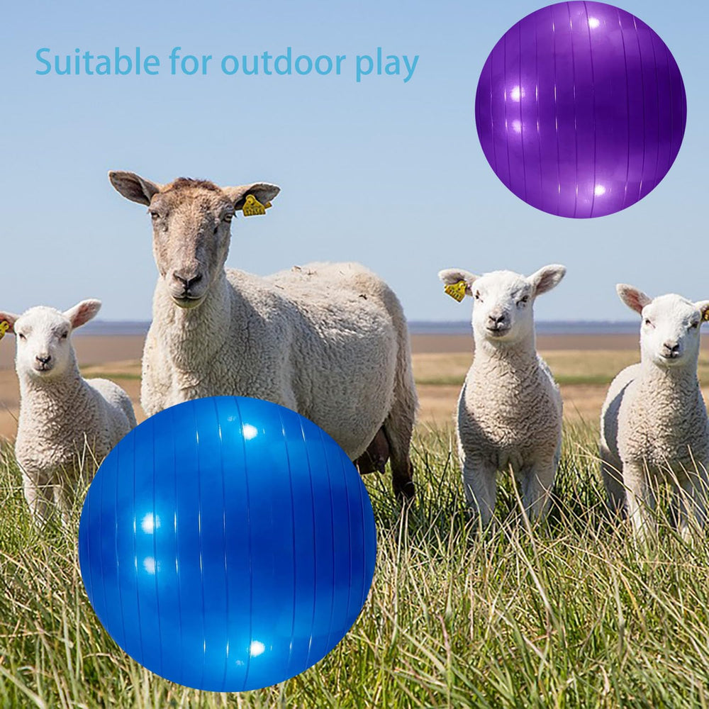 WoYous goat ball purple promotes playful workouts for dogs, goats, and horses.
