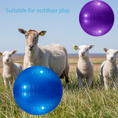WoYous goat ball purple promotes playful workouts for dogs, goats, and horses.