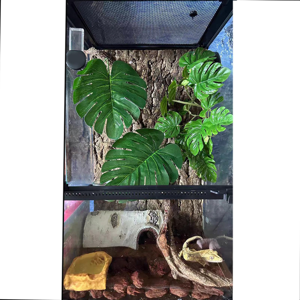 Woyrise easy-install suction cups allow flexible plant placement in tanks.