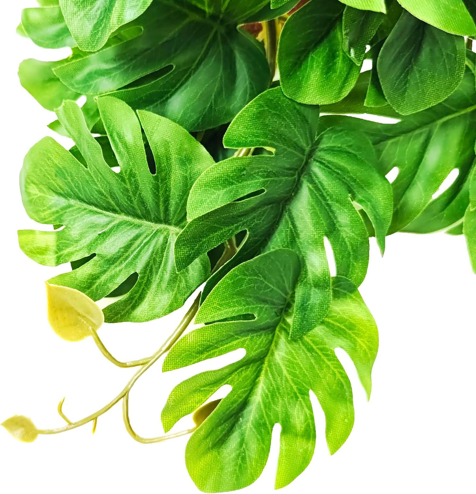 Woyrise non-toxic plastic terrarium plant designed for durable, safe habitat decor.