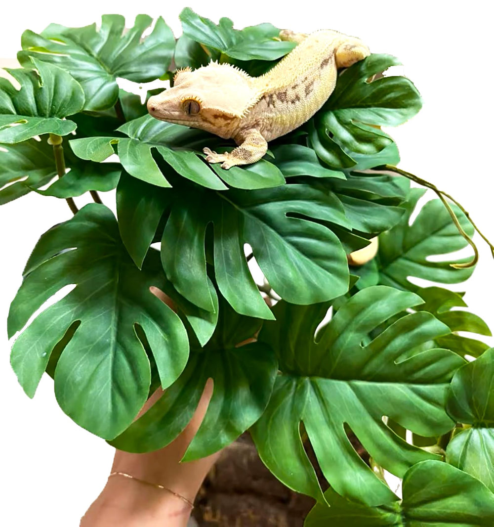 Woyrise realistic greenery boosts terrarium immersion without needing light.