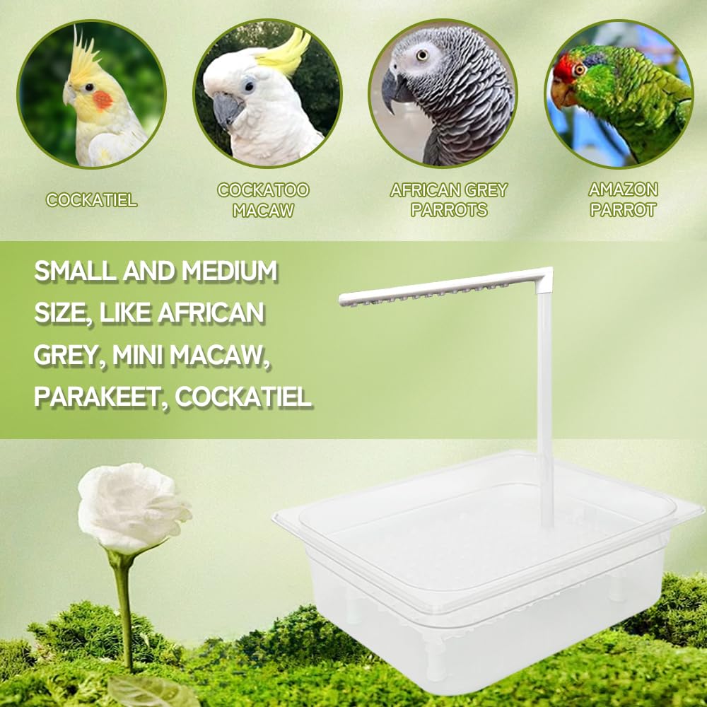 WQY GroceryShop non-toxic easy-clean materials ensure safe use.