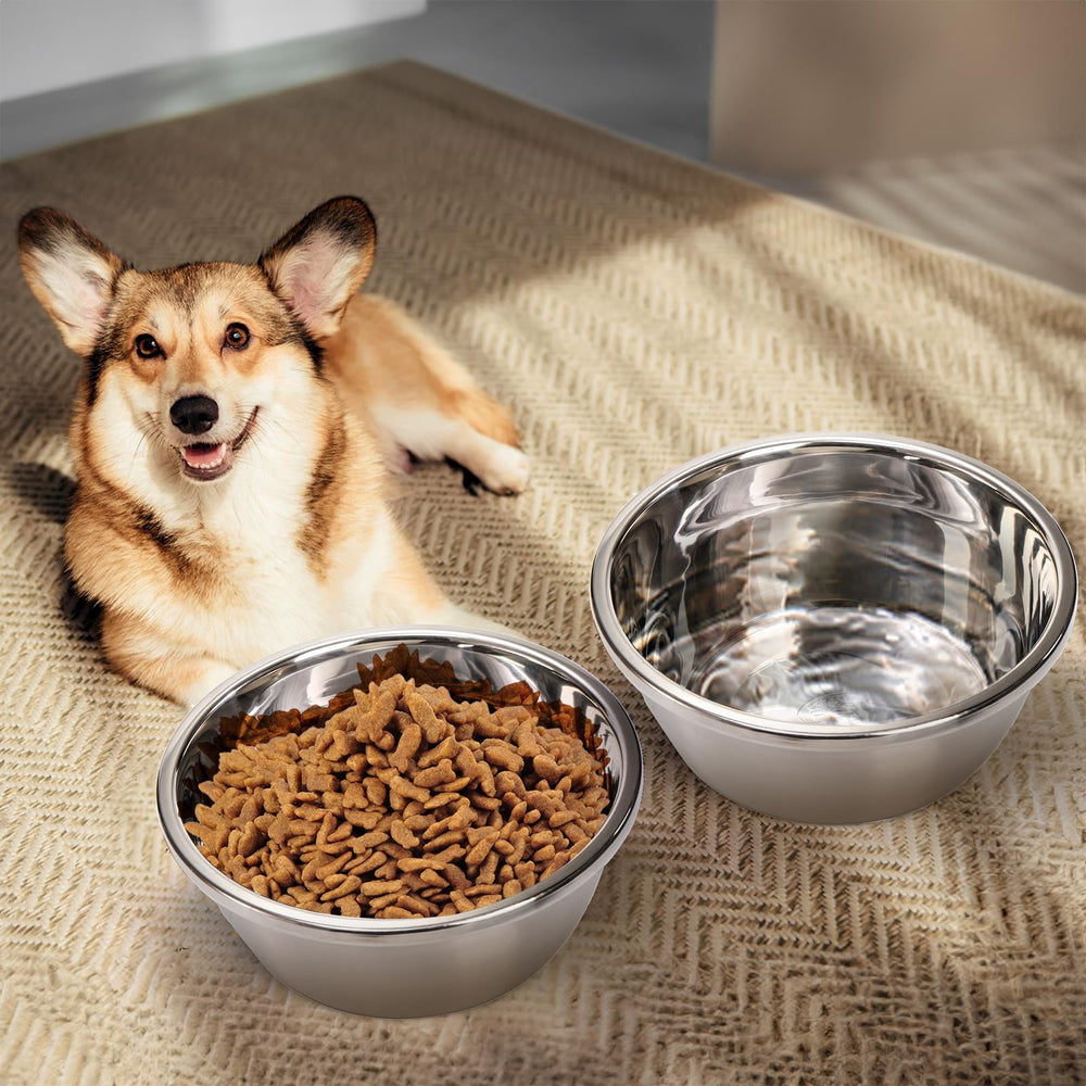 WRINGKIT large-capacity bowls support multi-pet households during mealtime.
