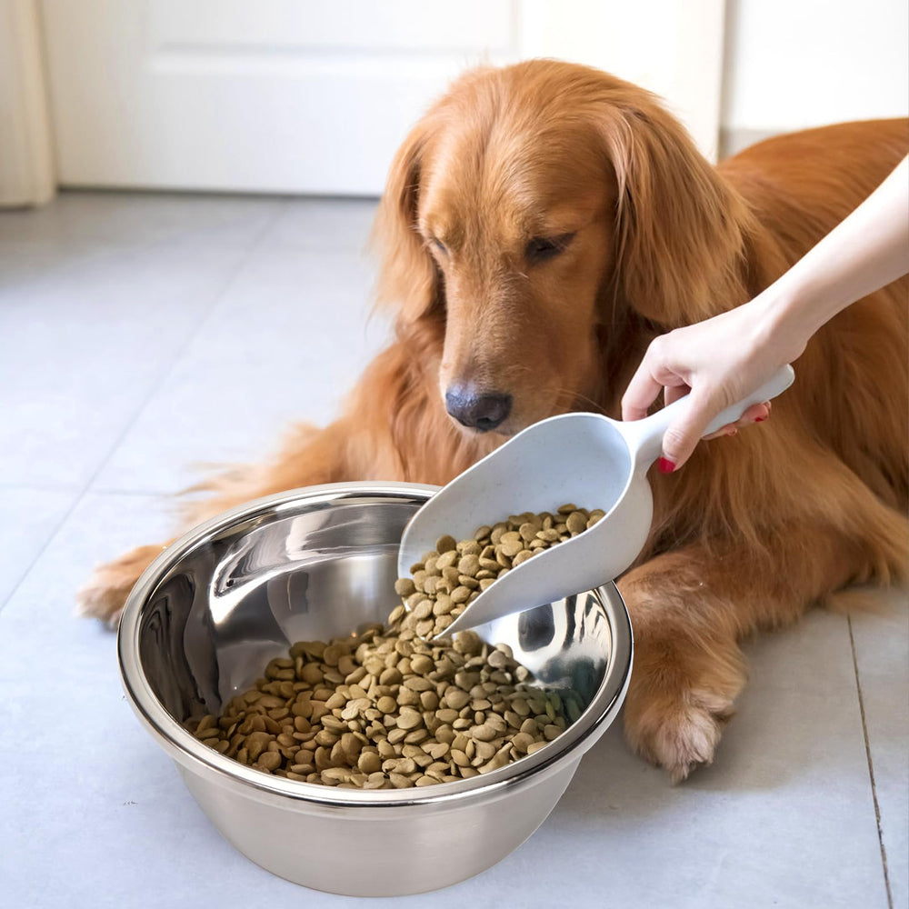 WRINGKIT heavy-duty bowls ideal for extra-large dogs and daily water needs.