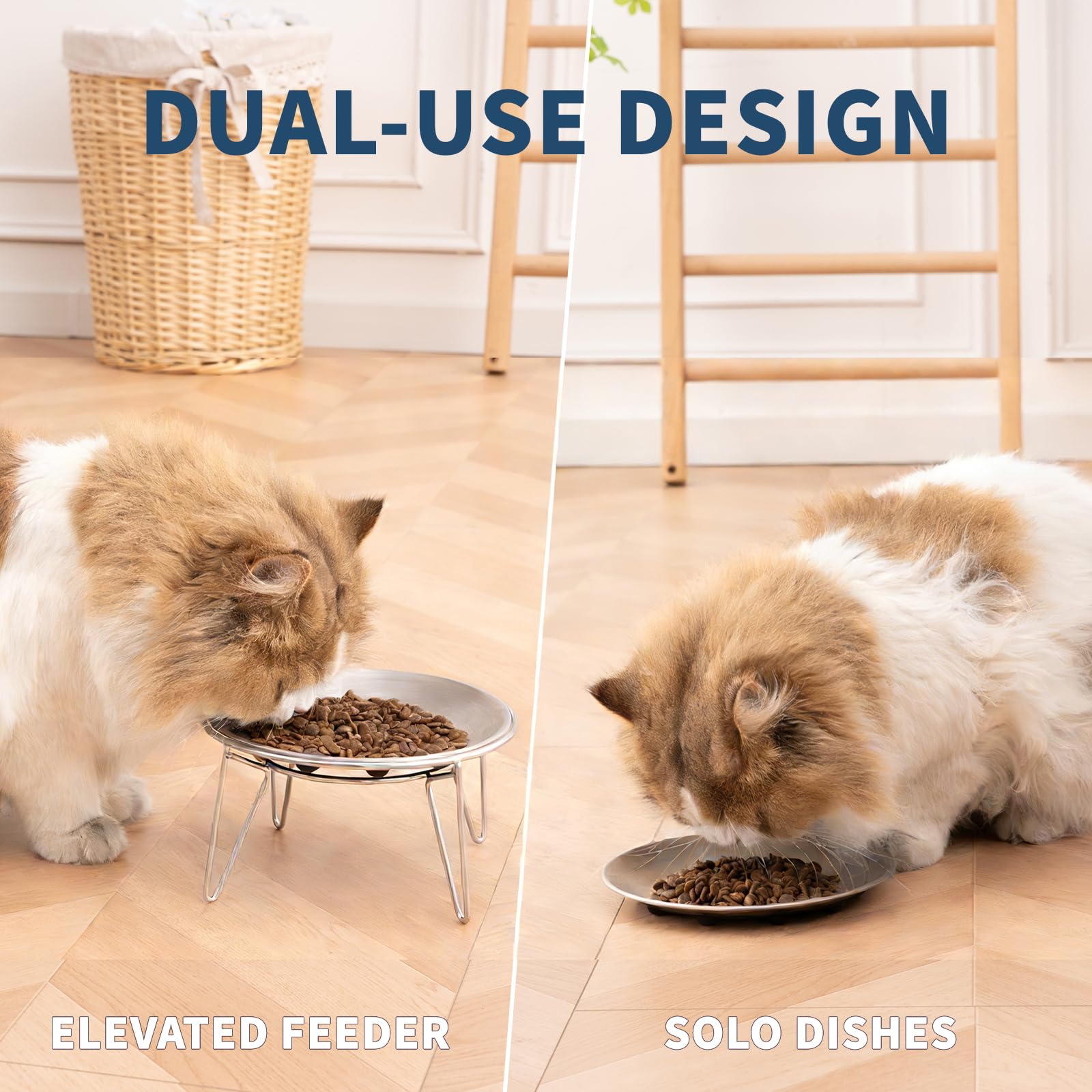 WROSWT standalone bowl on floor ideal for small or short-legged kittens.