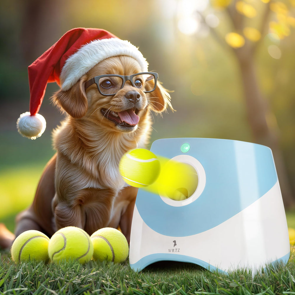 WRTZ automatic dog ball launcher for small dogs enables safe indoor play.
