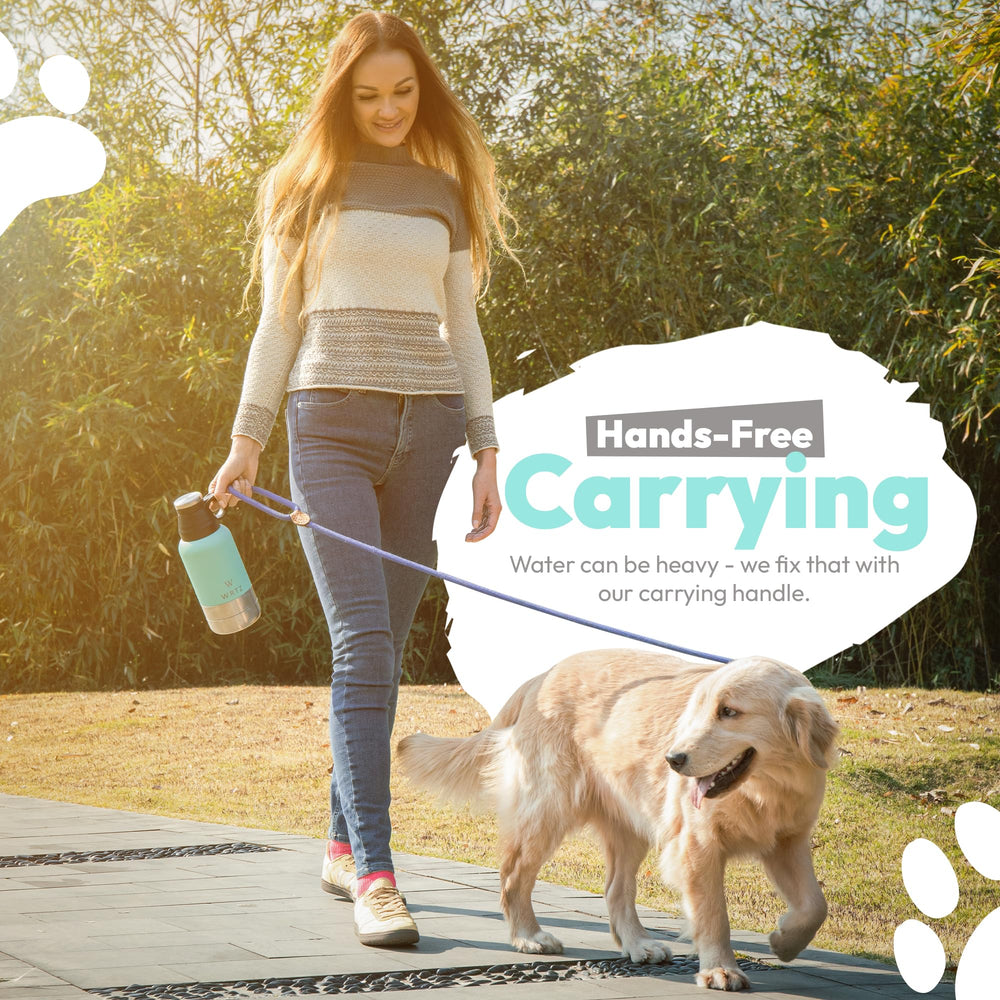 WRTZ teal color adds stylish touch to dog travel gear.