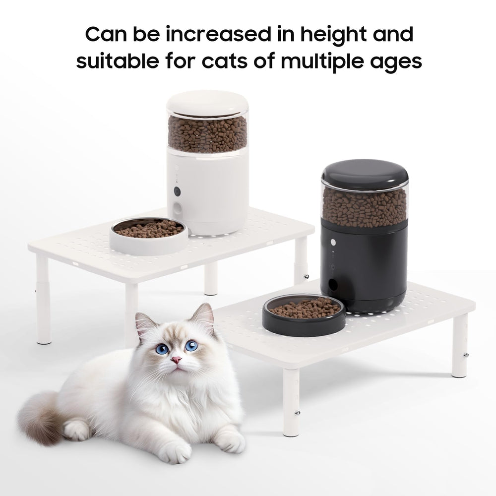 WSOWX non-slip pads keep bowls secure on any floor surface.
