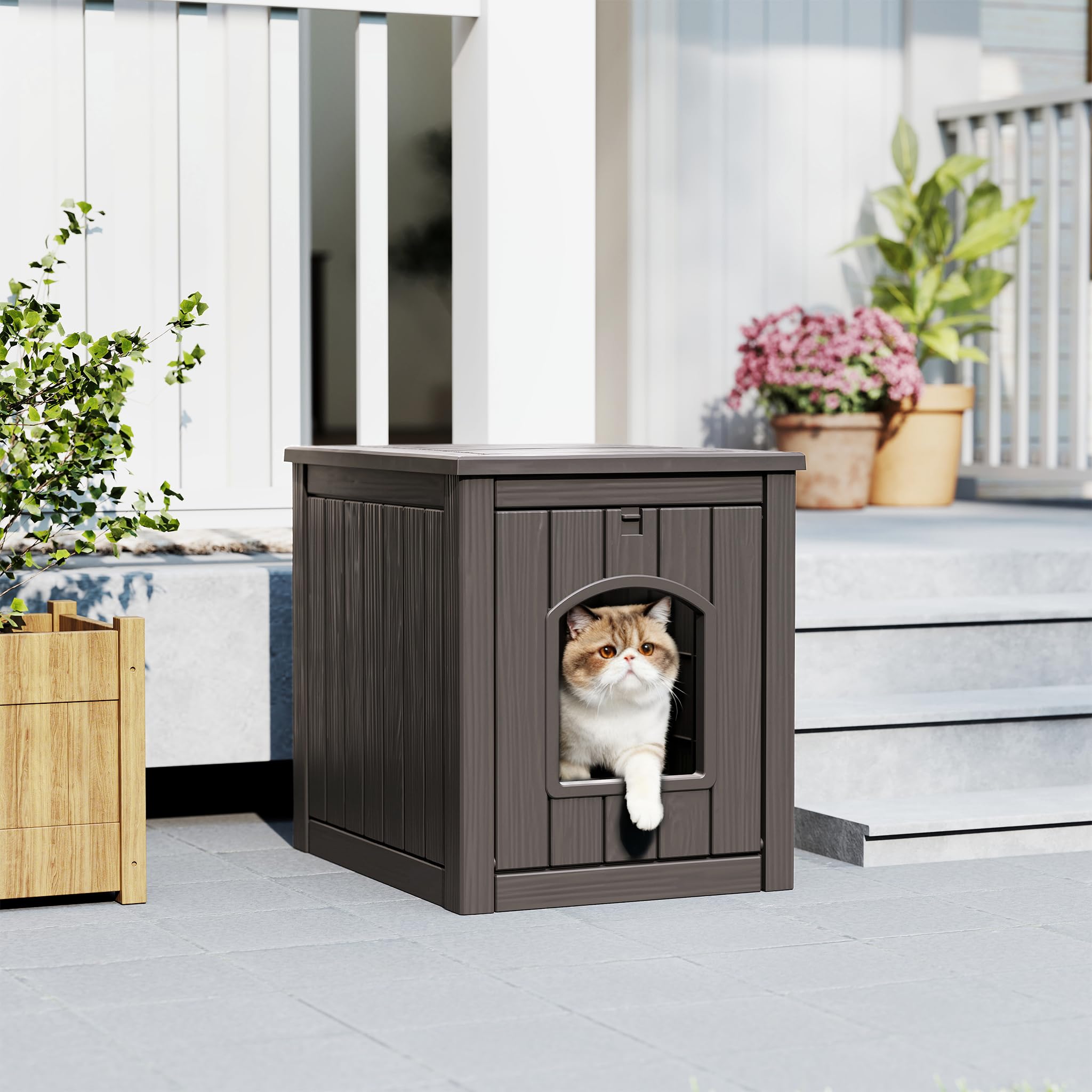 WTFGO spacious interior suited for medium cats