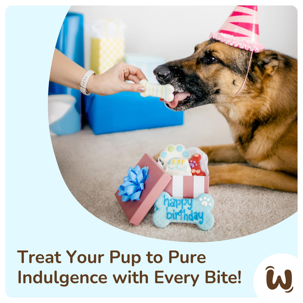 WÜFERS Apple cinnamon dog treat—savory flavor with yogurty coating for tasty bites.