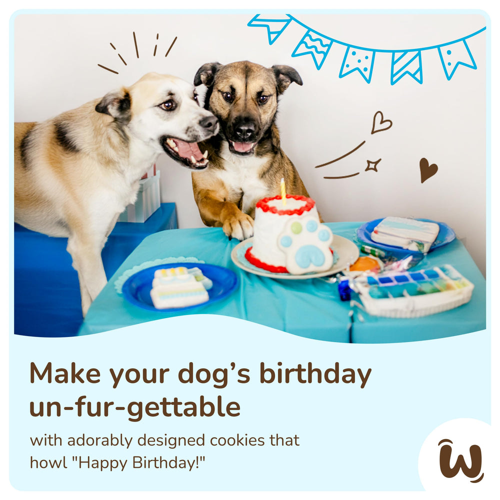 WÜFERS hand-decorated dog treats—each cookie crafted for festive moments.