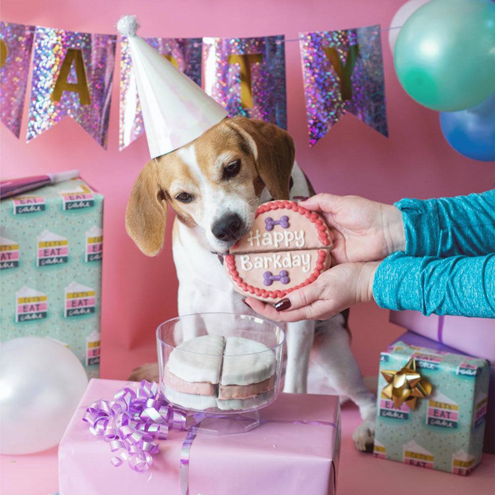 Wufers treats baked in North America showcasing quality