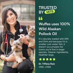 Wuffes Advanced Omega 3 oil on a dog with a shiny coat demonstrates skin health