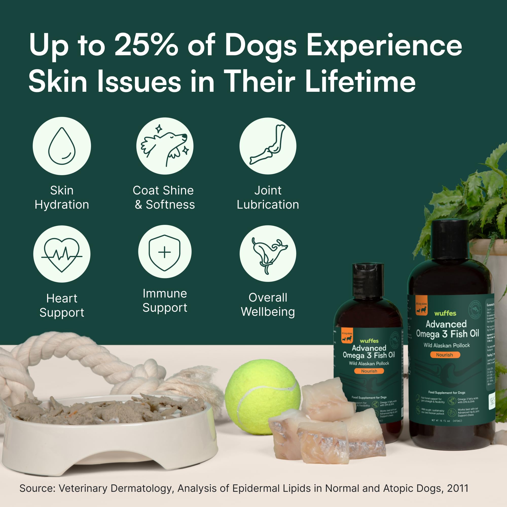 Wuffes Advanced Omega-3 Dog Oil coat showcase highlighting shine.