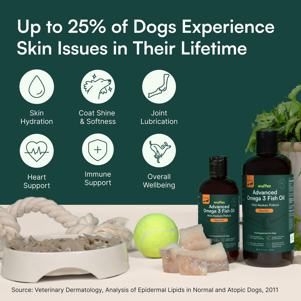 Wuffes Advanced Omega-3 Dog Oil coat showcase highlighting shine.
