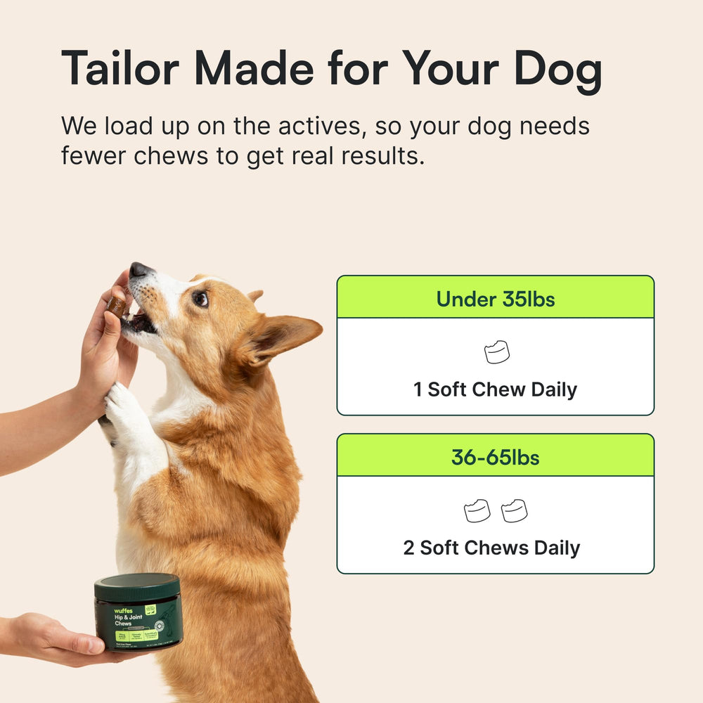 Wuffes bundle savings banner image highlighting value.