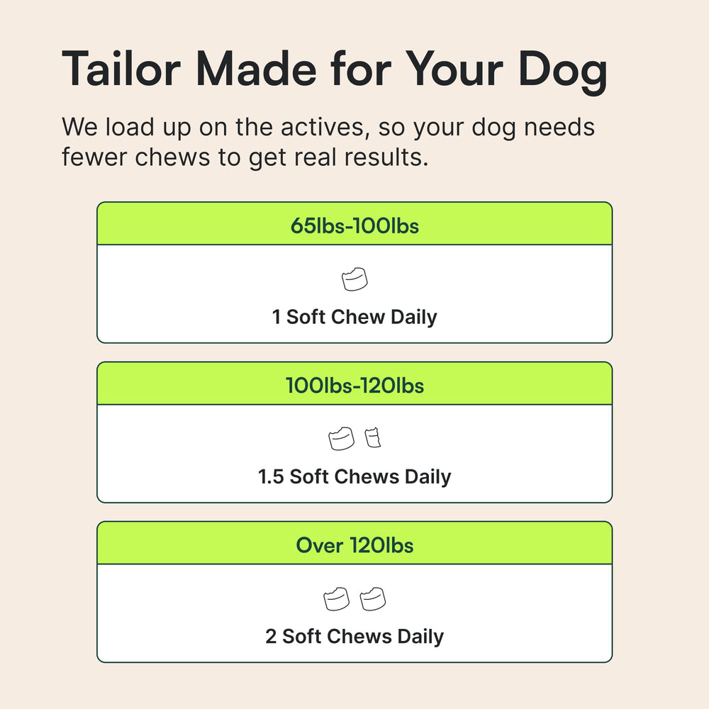 Wuffes chews arranged with dog gear, suggesting daily mobility support.