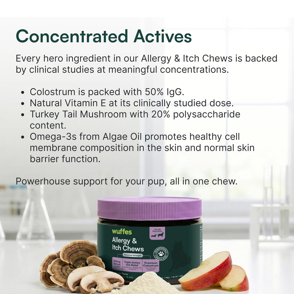 Wuffes colostrum skin gut support chews aiding barrier health.