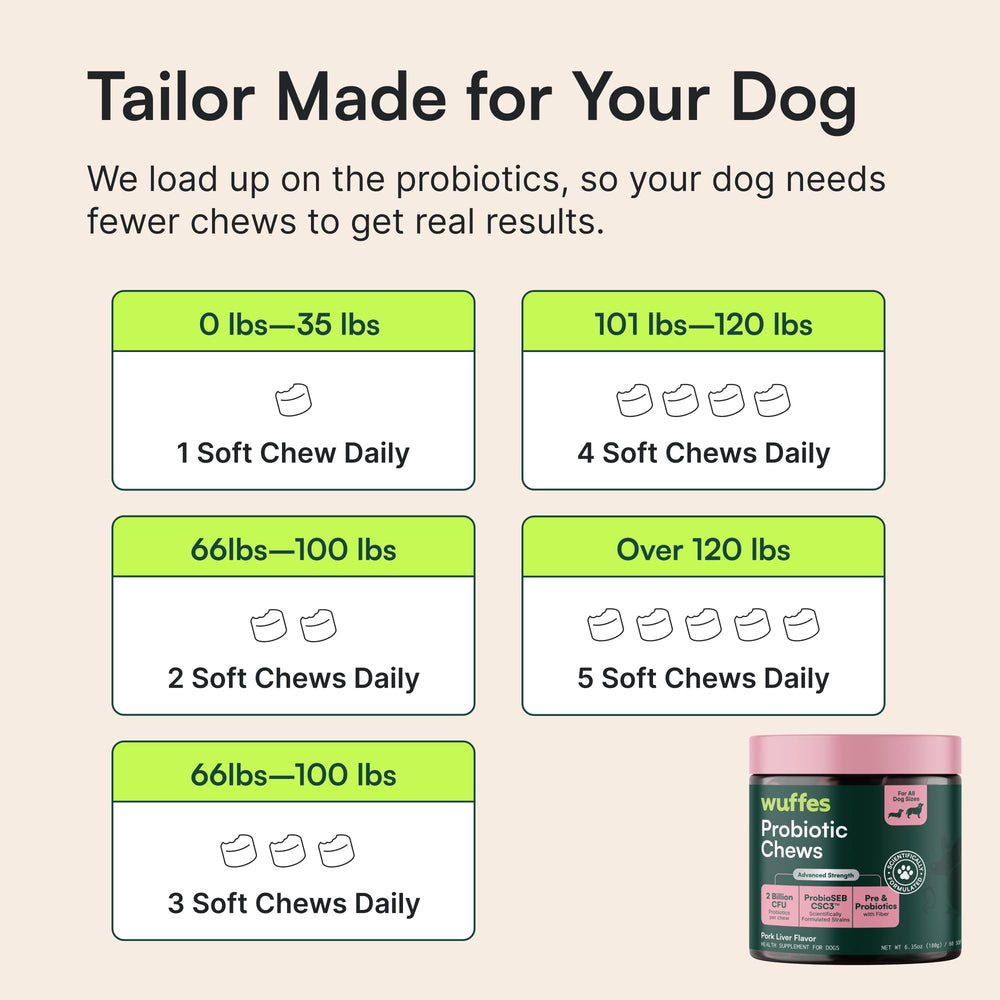 Wuffes probiotic supports immune health via gut balance for active dogs.
