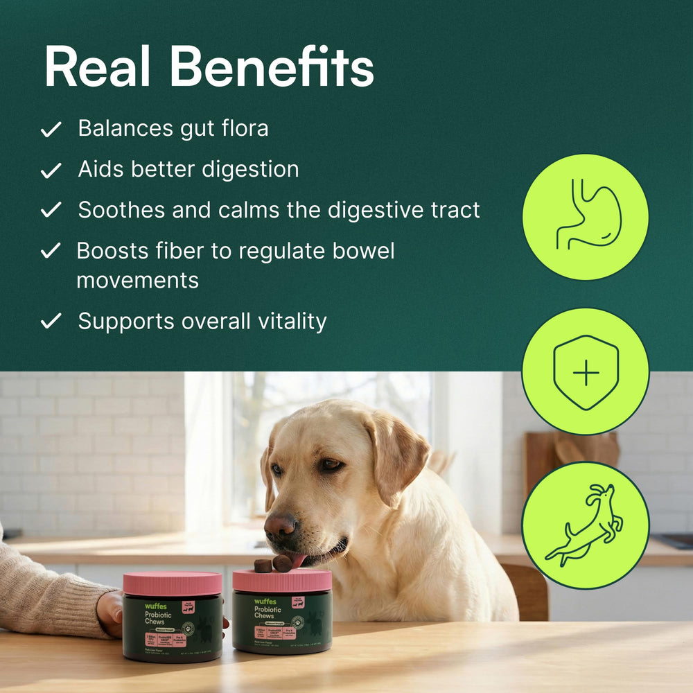 Wuffes Daily Probiotic pumpkin powder provides fiber for gentle gut care.