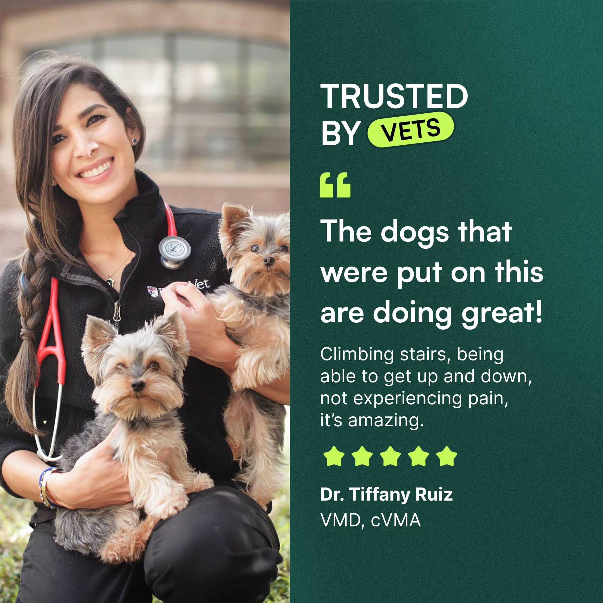 Packaging of Wuffes Hip & Joint Support for large breeds in a carton.