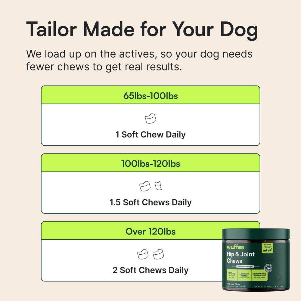 Energetic large-breed dog enjoying a walk with Wuffes daily chews nearby