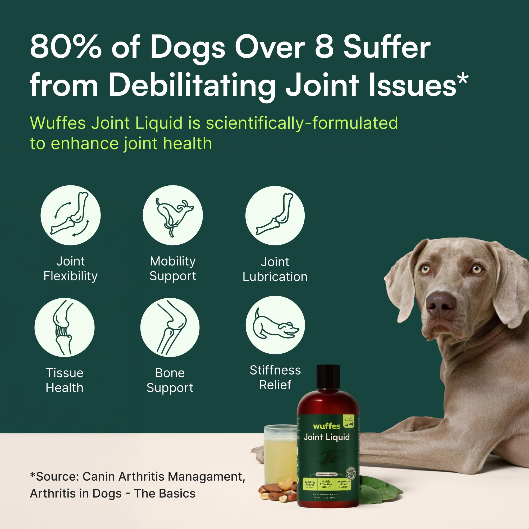 Wuffes senior-dog-friendly-liquid supports comfortable activity.