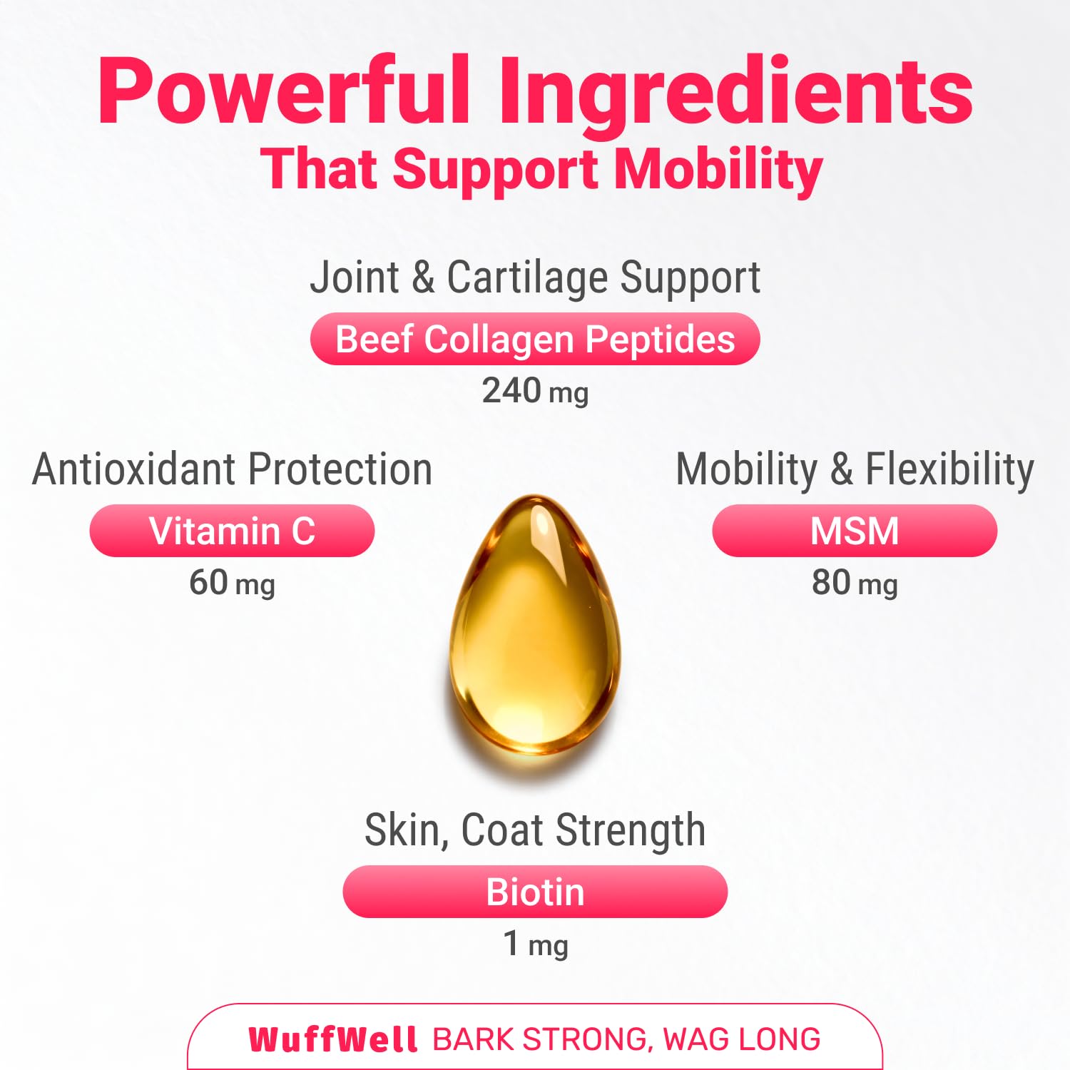WuffWell collagen drops on dog showing a tasty, dog-friendly supplement.