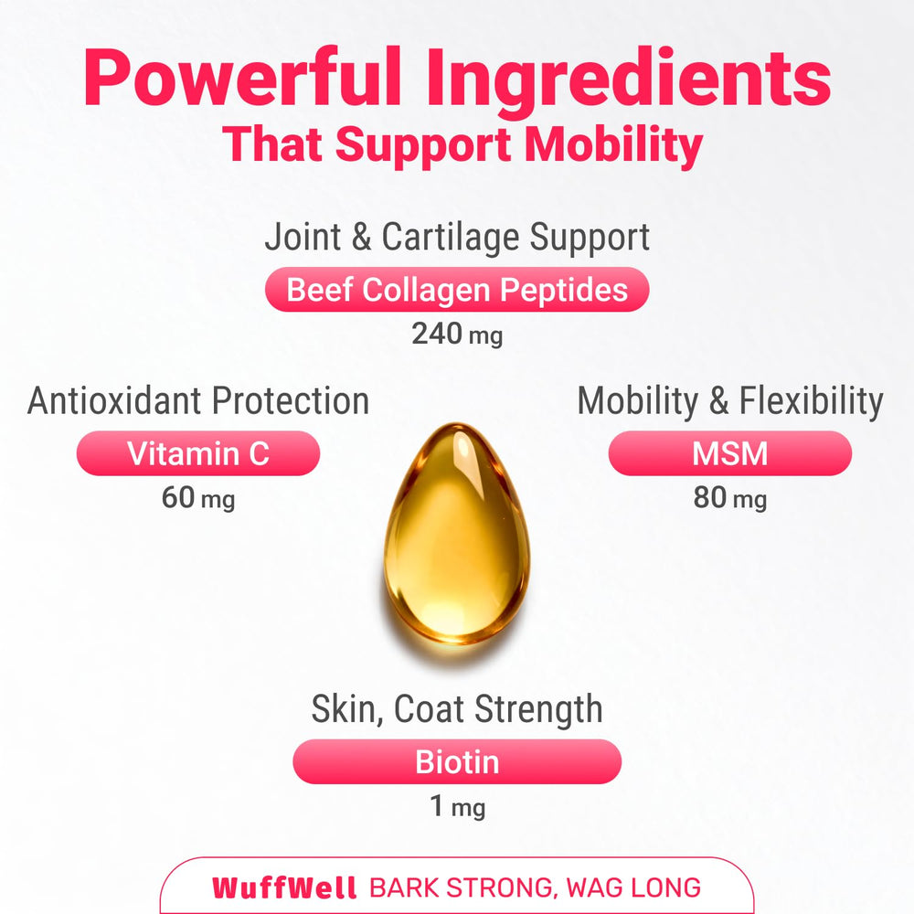 WuffWell collagen drops on dog showing a tasty, dog-friendly supplement.