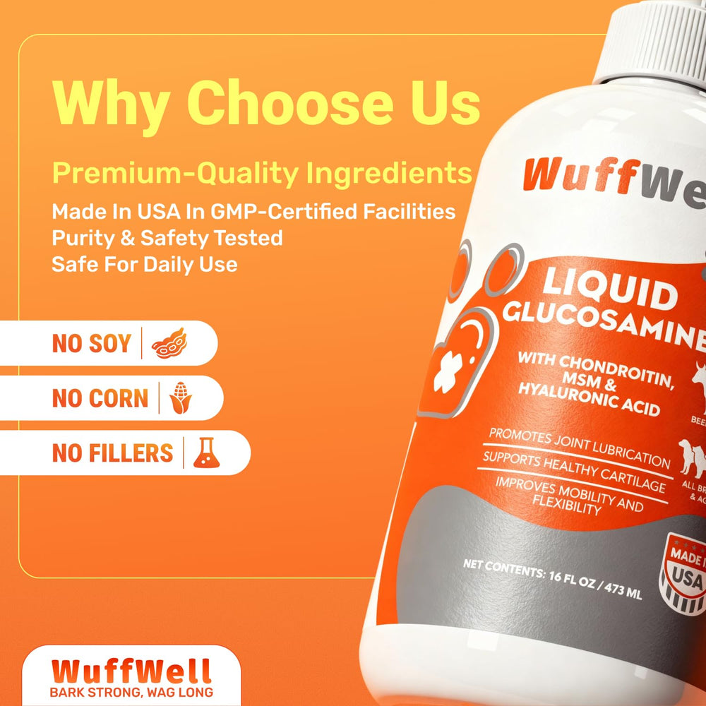 Joint health aids cartilage during everyday dog adventures.