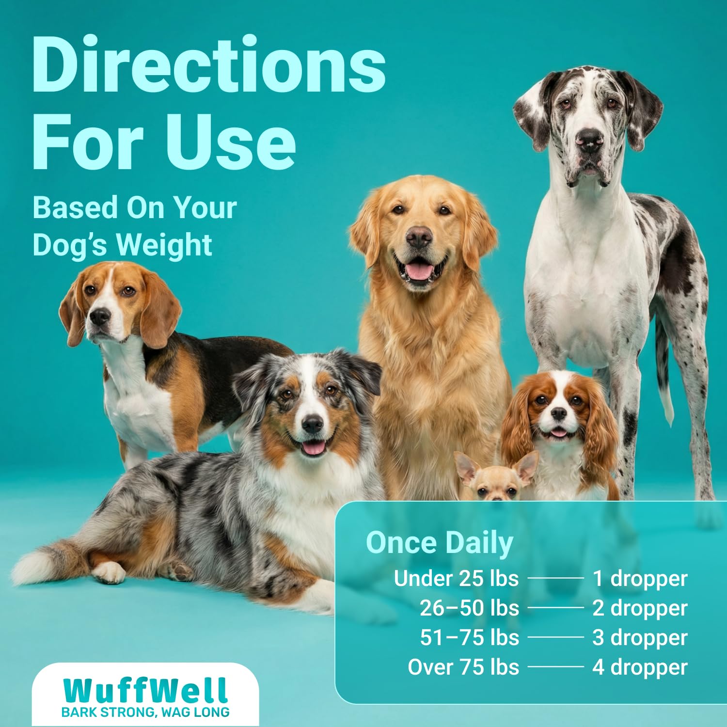 WuffWell dog joint mobility boost in action during a joyful run.