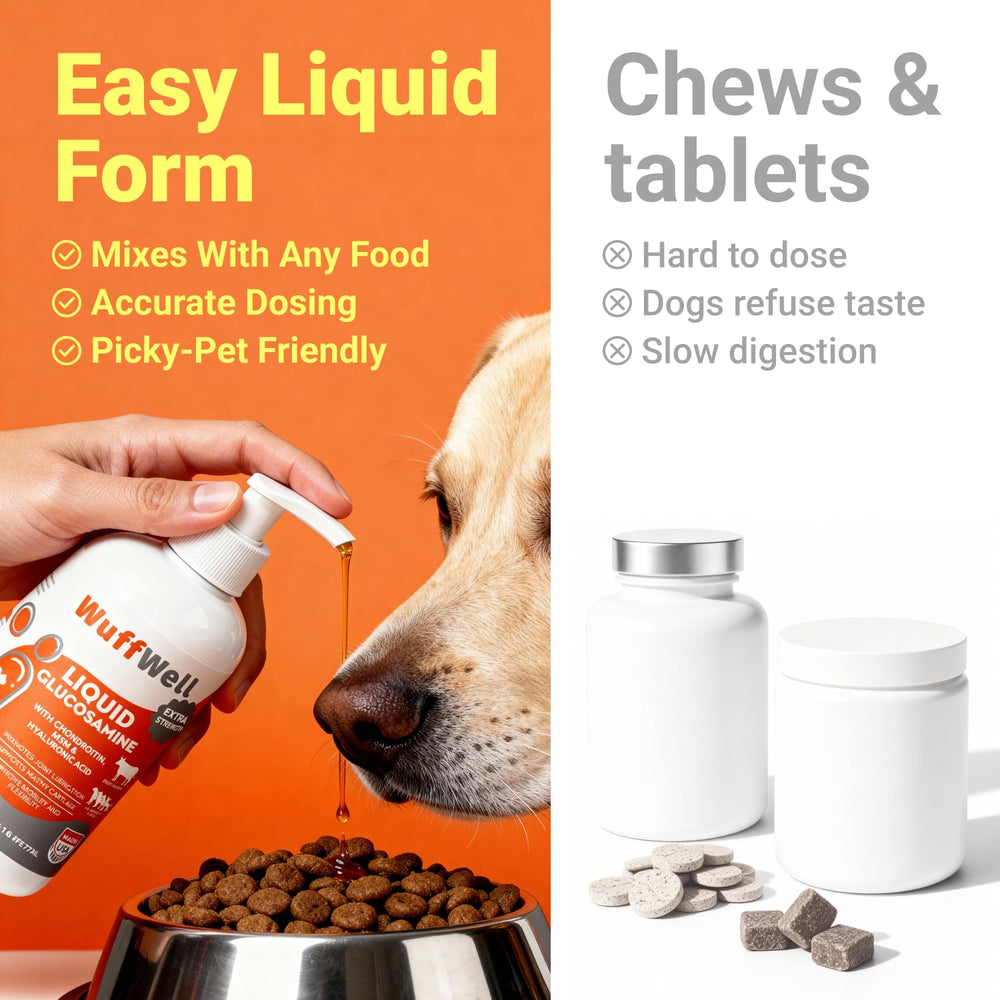 Playful dog demonstrates improved activity with WuffWell joint care.