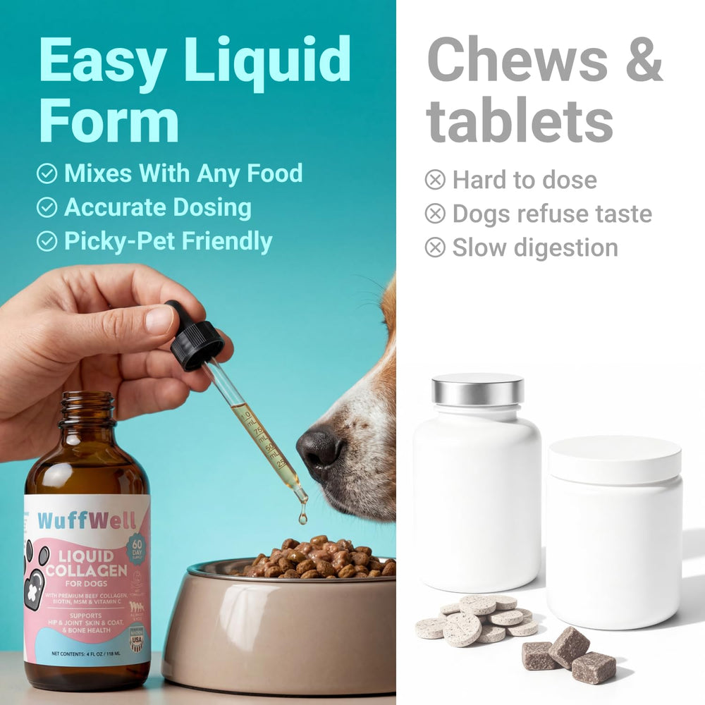 WuffWell dog skin and coat health with a glossy, healthy look.