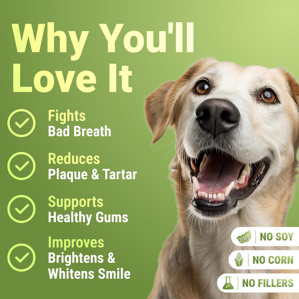 WuffWell dog teeth powder on food demonstrates simple sprinkle method for fresher breath