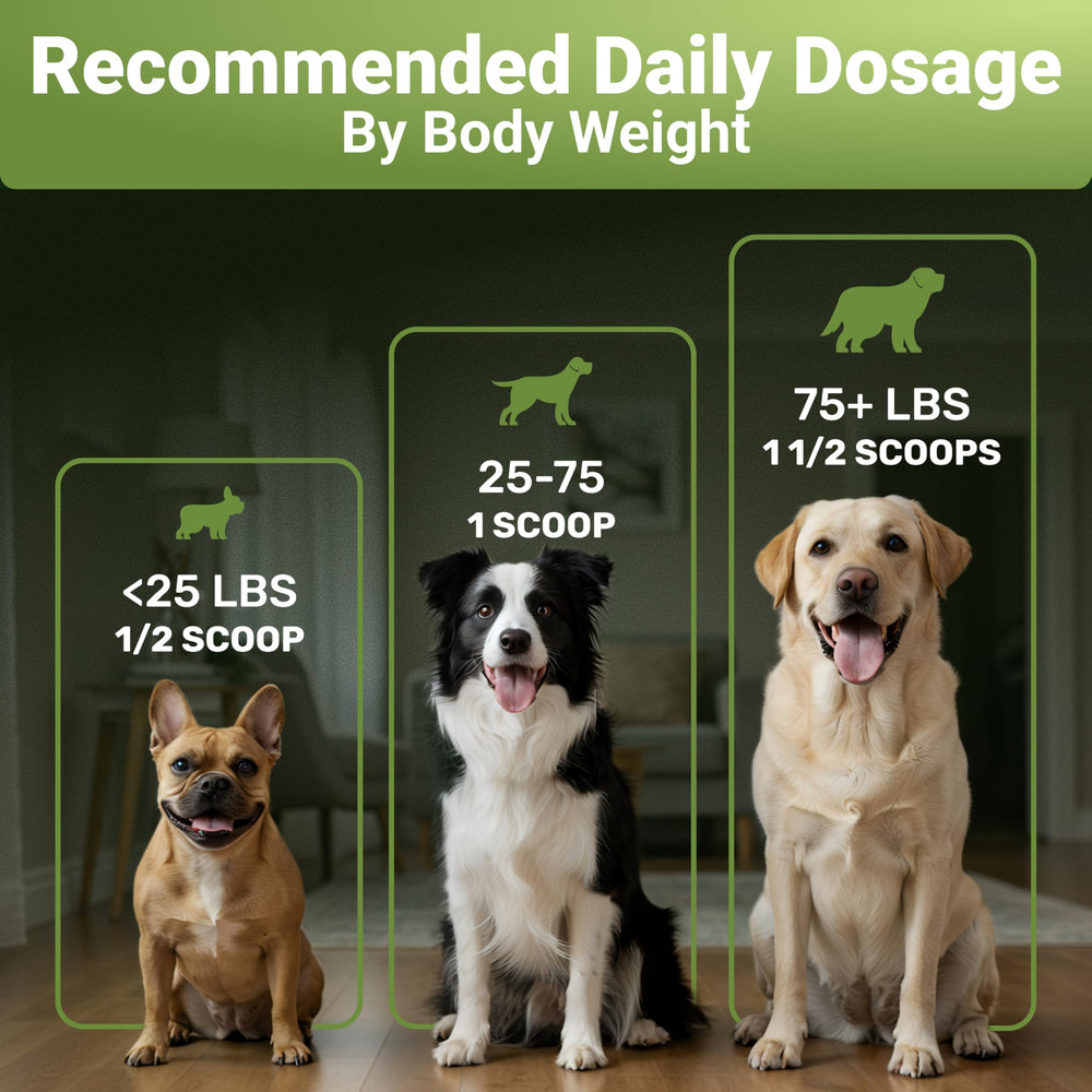 WuffWell fresh-breath dog mouthcare shot suggesting odor reduction with regular use