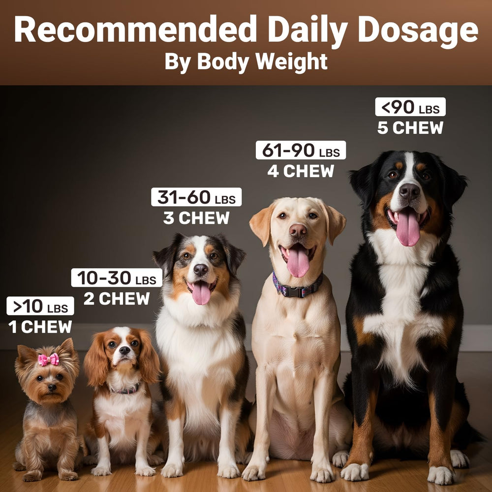 WuffWell immune support for dogs during seasonal changes.