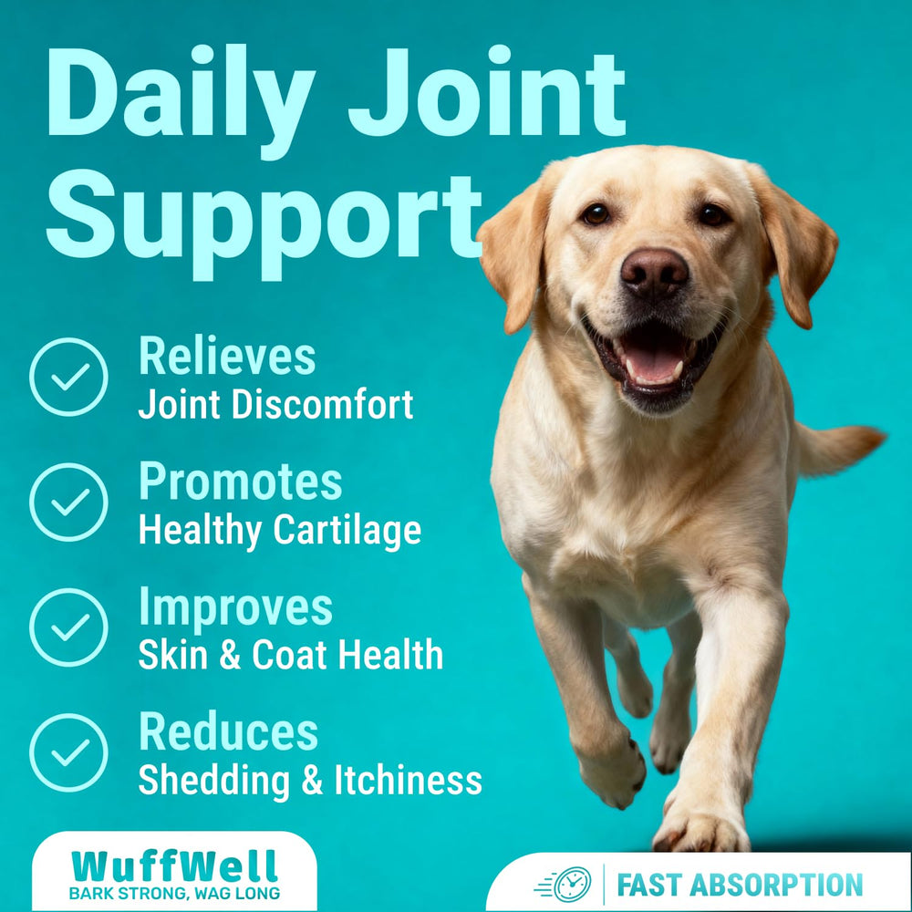 WuffWell dog collagen drops dropper application for easy daily use.